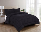 3-Piece Solid Box Stitched Comforter & Shams - Double-Filled Comforter