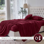4-Piece Velvet Plush Flannel Sheet Set