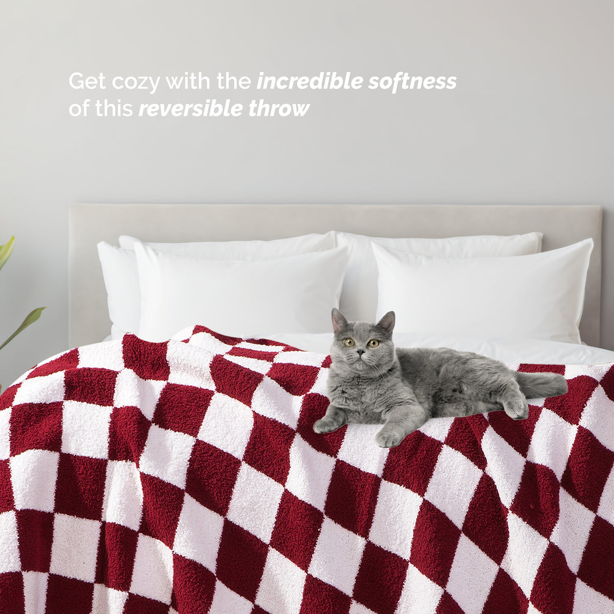 50" x 70"  Ultra Soft Checkered Knitted Throw Blanket