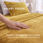 4-Piece Velvet Plush Flannel Sheet Set