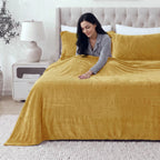 4-Piece Velvet Plush Flannel Sheet Set