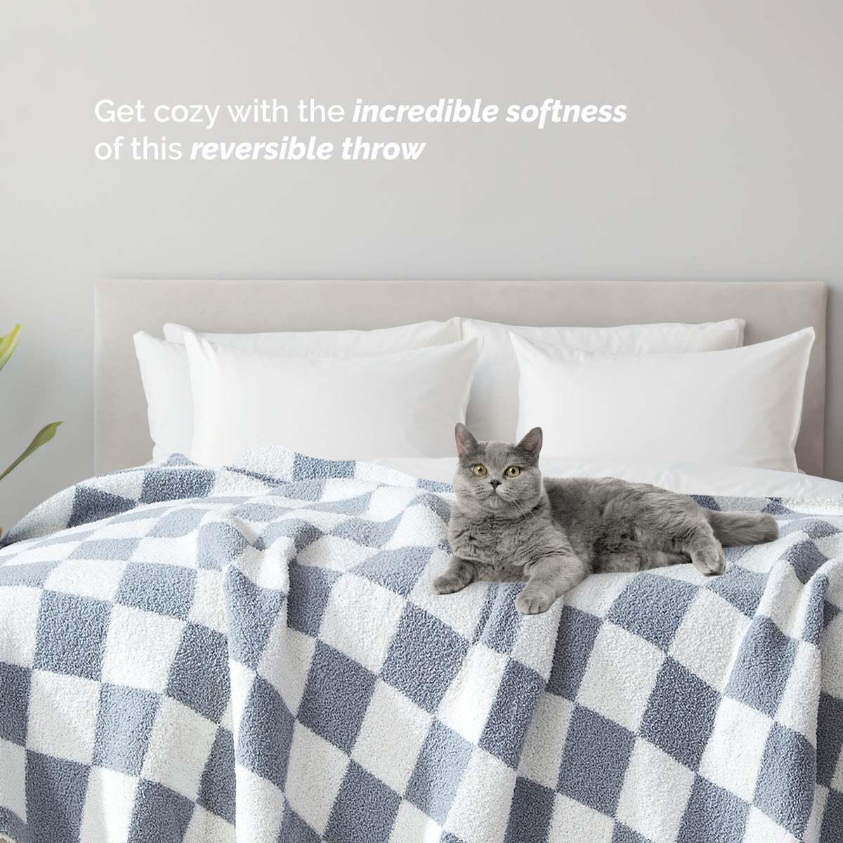 50" x 70"  Ultra Soft Checkered Knitted Throw Blanket