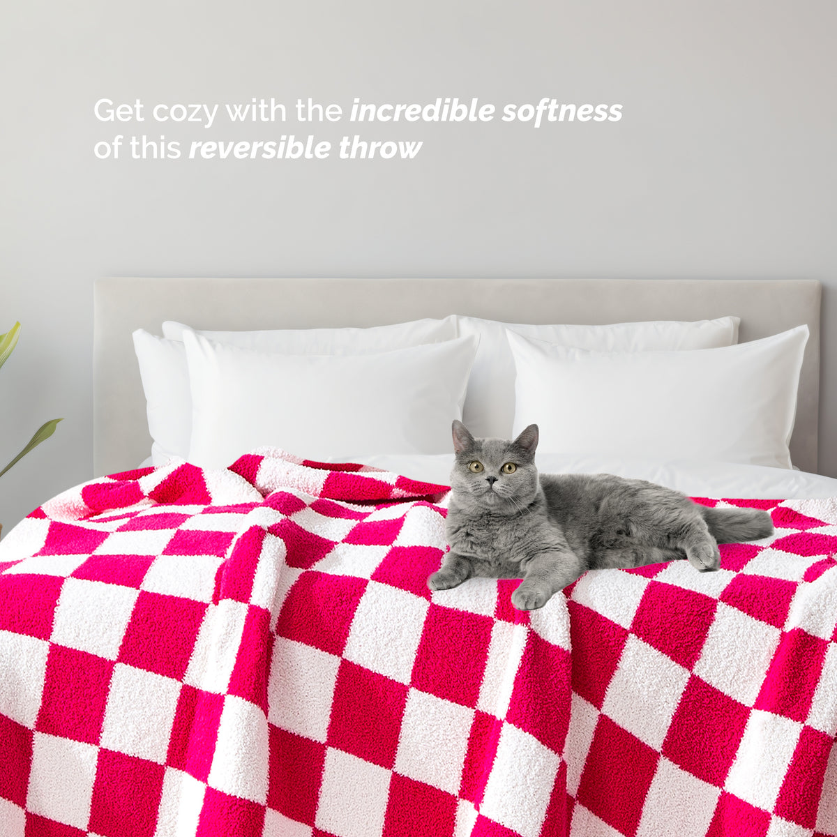 50" x 70"  Ultra Soft Checkered Knitted Throw Blanket