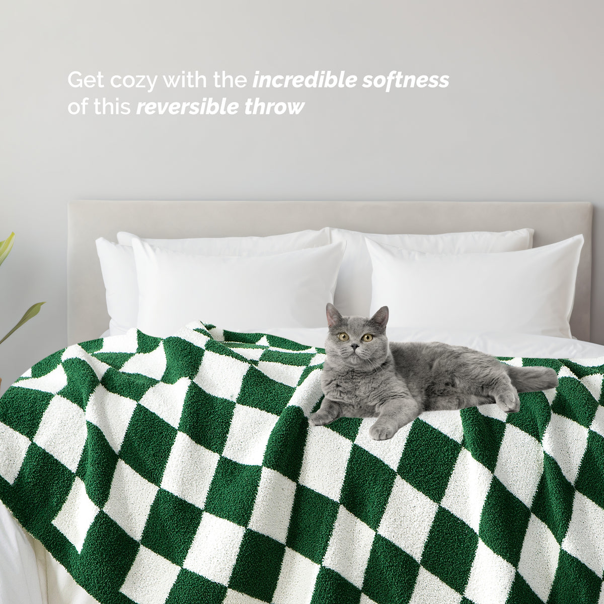 50" x 70"  Ultra Soft Checkered Knitted Throw Blanket