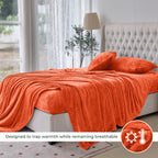 4-Piece Velvet Plush Flannel Sheet Set