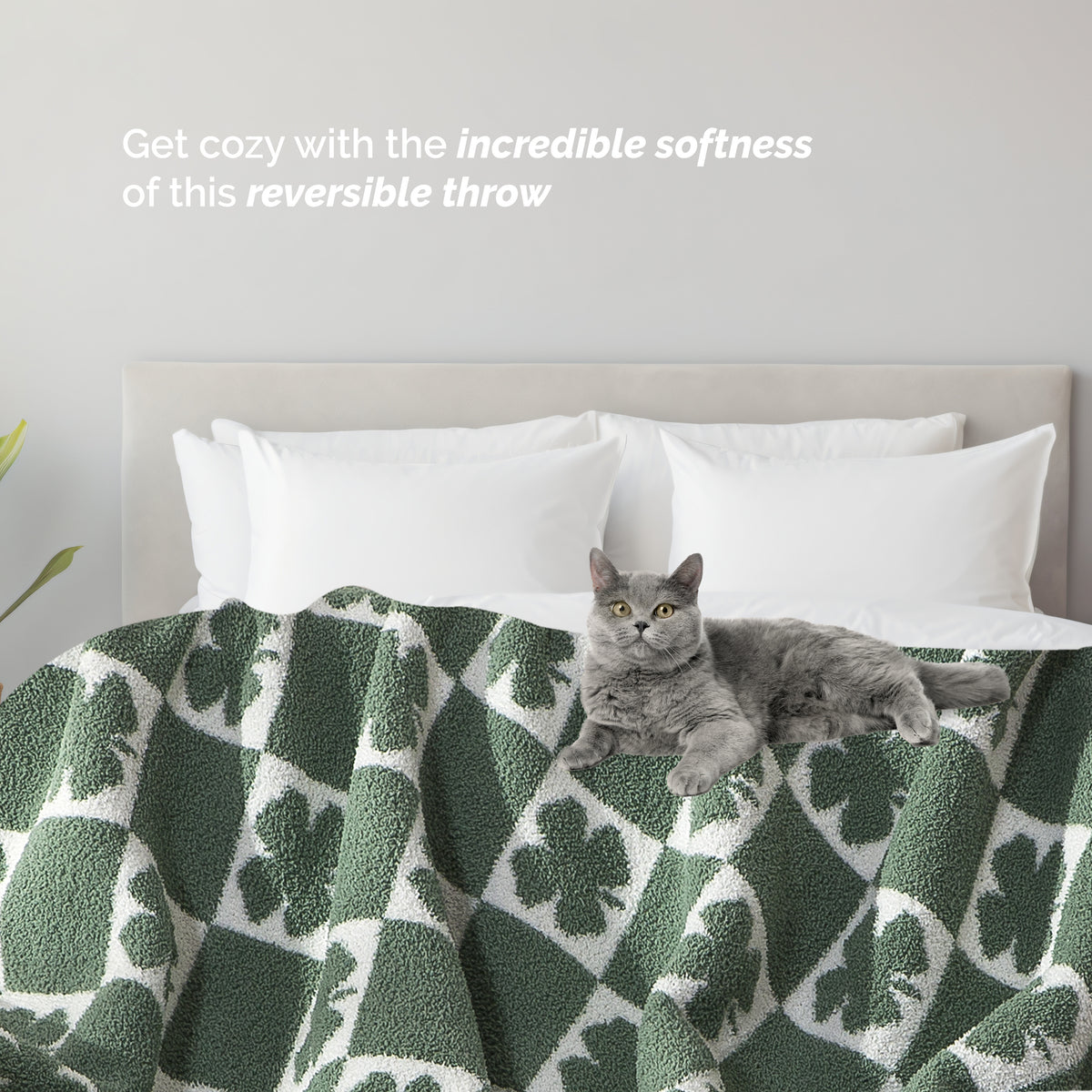 50" x 70"  Ultra Soft Checkered Knitted Throw Blanket