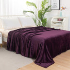 Velvet Plush Fleece Blanket Solid Color Design - Velour Blanket
