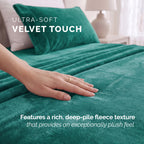 4-Piece Velvet Plush Flannel Sheet Set