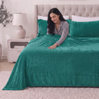 4-Piece Velvet Plush Flannel Sheet Set
