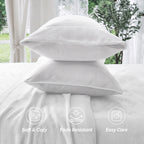 4-Piece Velvet Plush Flannel Sheet Set