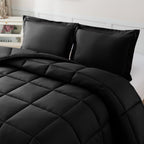 3-Piece Solid Box Stitched Comforter & Shams - Double-Filled Comforter