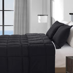 3-Piece Solid Box Stitched Comforter & Shams - Double-Filled Comforter